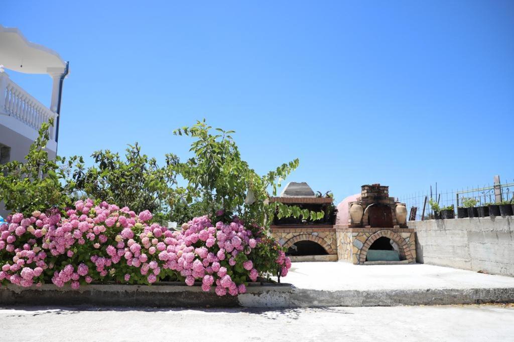 Guest House Narta Vlorë Buitenkant foto