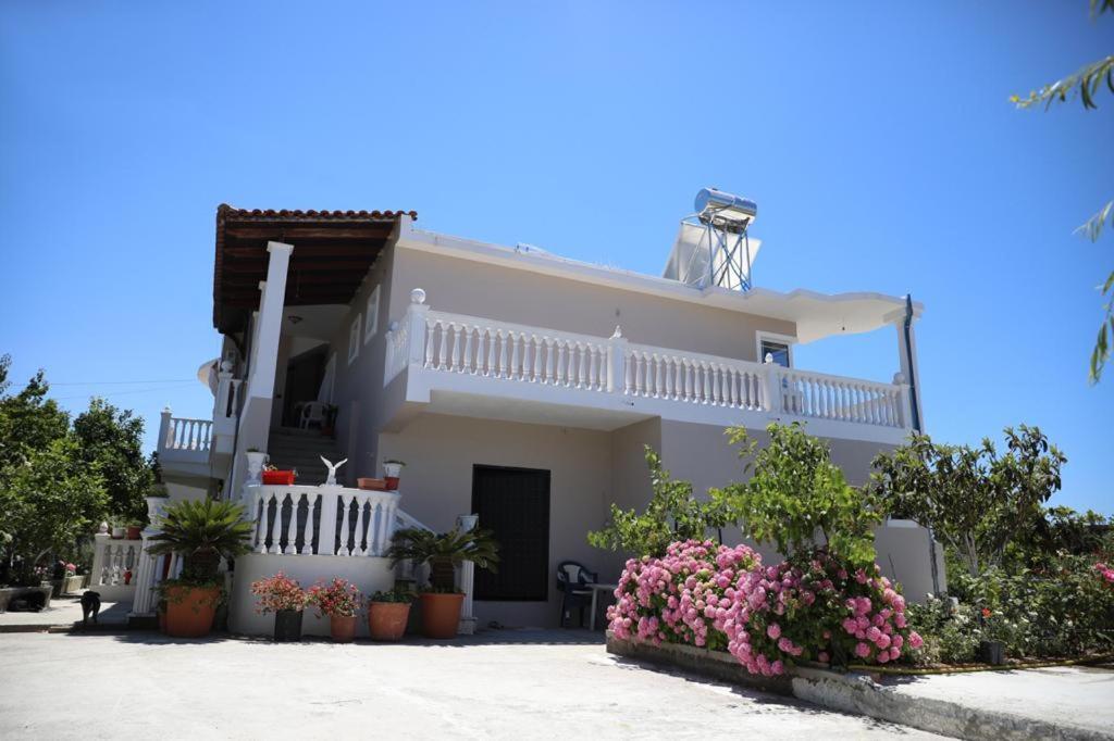 Guest House Narta Vlorë Buitenkant foto